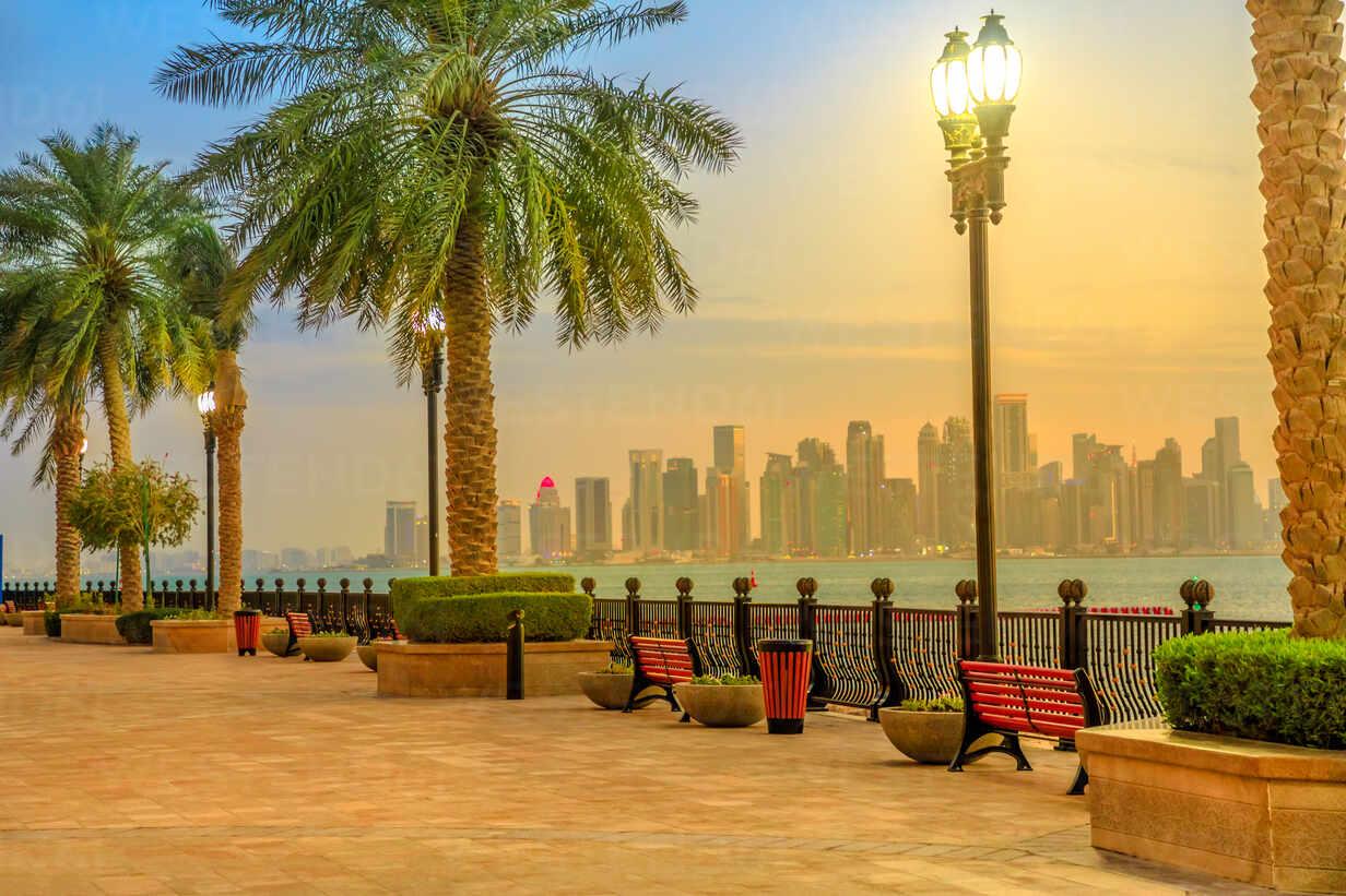 Benches and palm trees along marina walkway in Porto Arabia at the Pearl-Qatar, with skyscrapers of West Bay skyline illuminated at blue hour, Doha, Qatar, Middle East