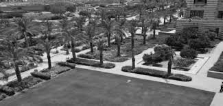 Planting Design