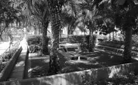 images (2)
