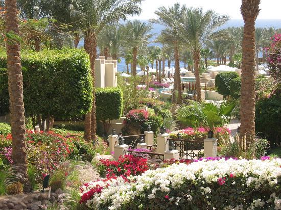 sharm-el-sheikh